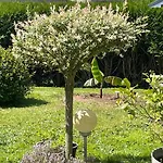Bed & Breakfast Les Du Doux Refuge Esquay-sur-Seulles