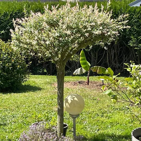 Bed and Breakfast Les Du Doux Refuge Esquay-sur-Seulles