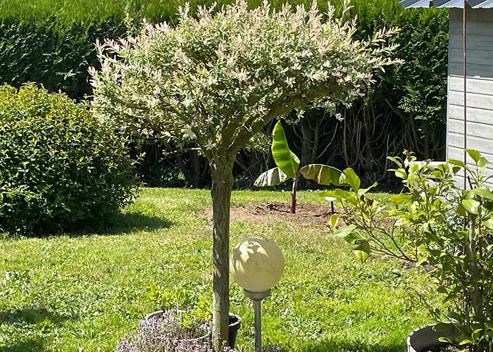 Bed & Breakfast Les Du Doux Refuge Esquay-sur-Seulles