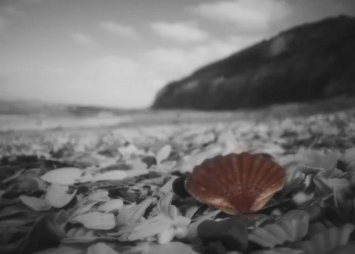 Les Du Doux Refuge Bed & Breakfast Esquay-sur-Seulles